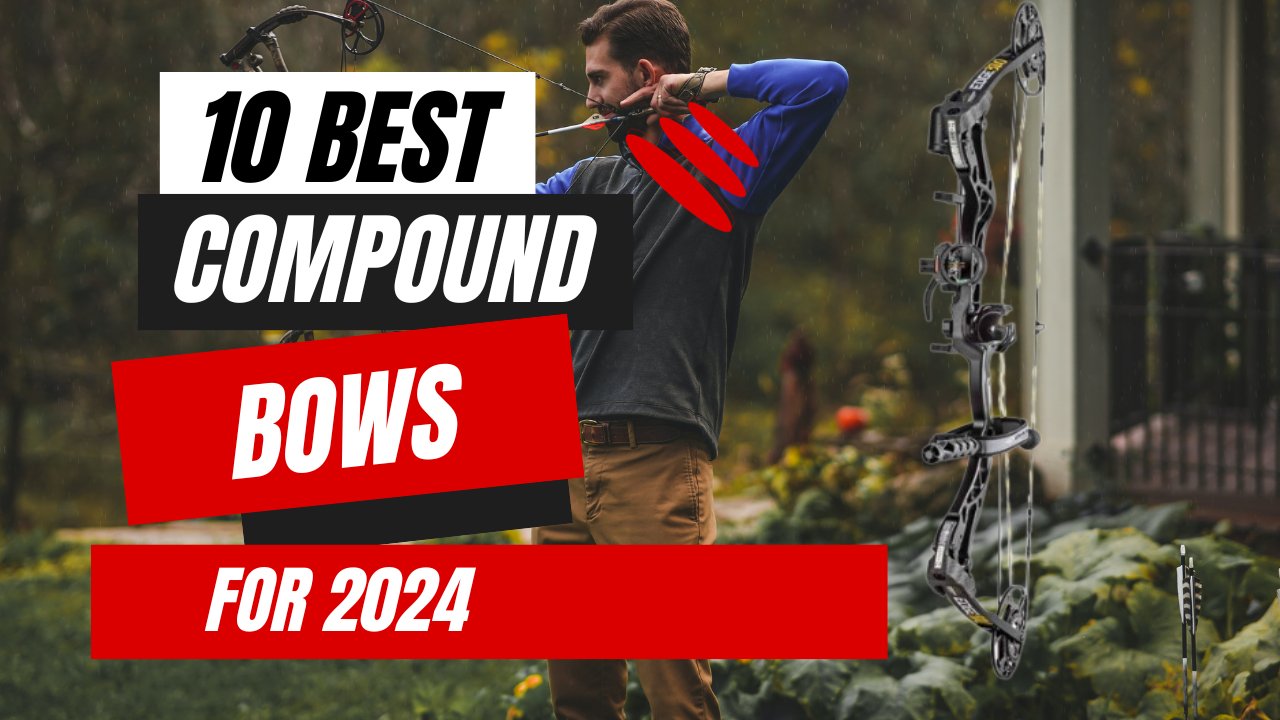 10 Best Compound Bows 2024 GearMovement